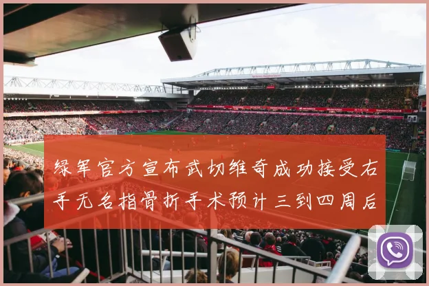绿军官方宣布武切维奇成功接受右手无名指骨折手术预计三到四周后复查